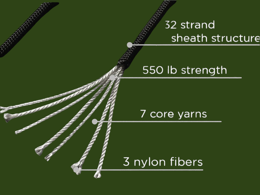 Seasonal Collection (Glow)